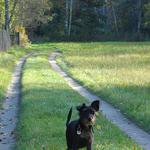 Dedko na prechádzke