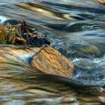 Teče voda teče, po kameni skáče...