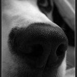 Čerstvě probuzená Xula