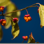 Naposledy se vyhřát na sluníčku...