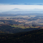 Letni podzim