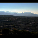 Sierra Nevada....