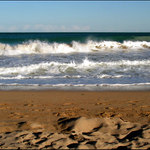 Země,voda,vzduch......