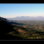 Olivy,olivy,olivy......