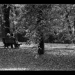 podzimní samota II.