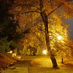 barvy nočního podzimu