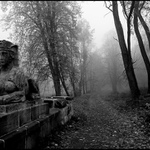 Návraty do veltruského parku VIII. - opět u sfingy