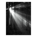 :.ENJOY THE SILENCE.: