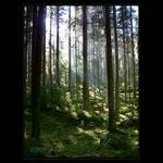 :.ENJOY THE SILENCE.: