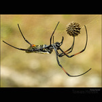 Tak co to tady máme...