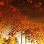 temne nebe nad oborou