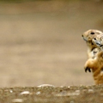 Na startovní čáře