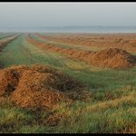 Na počátku podzimu