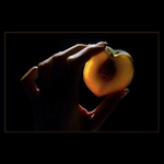 ***BROSKEV BYCH MOHLA JÍST CELÉ HODINY***