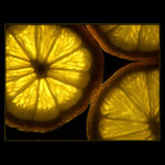 ***SLUNCE V BUŇCE***