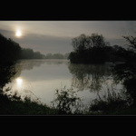 Milotický rybník XIII.