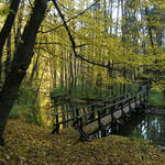 Robečský potok,českolipsko