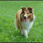 Tak jsem se vám vrátila...