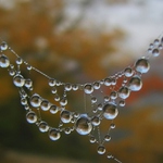 Náhrdelník z děčínského zámku