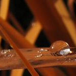 Okamžik z časů rezivění