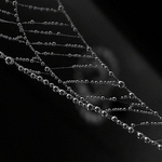 Pavoučí počítadlo