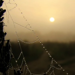 Jedno říjnové ráno