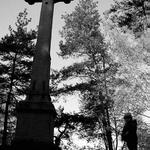 Zvláštní setkání