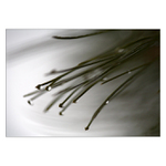 Jak se pálí borovička