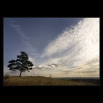 Na Chožovské hoře