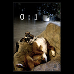 A jsou na lopatkách:-)))