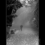 šedá cesta do školy