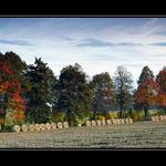 Koulelo se koulelo ....