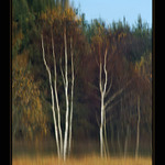 podzim na vodě