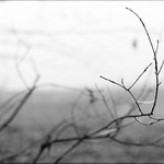 Konec pavoučí sezony