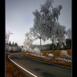 ...cestou k Božímu Daru...