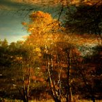 ..podzimní imprese...