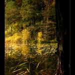 ...když ještě svítilo...