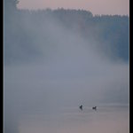 Tři už jsou moc...