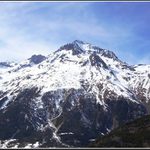 alpy