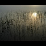 Hmlisté prebúdzanie