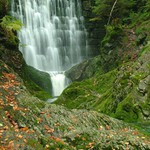 - Černohorský potok -