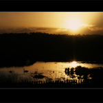 ***SUN-SET***