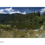 Plešné jezero