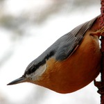 Tak už jsou tady ...