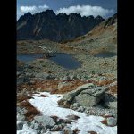 Žabie pleso