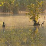 Za dnů, kdy ještě vycházelo slunce...