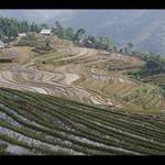 Vietnam III. Pěstování rýže