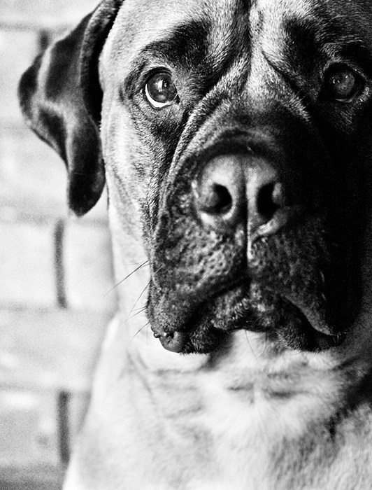 Zoe /jméno z papírů si nepamatuju :)