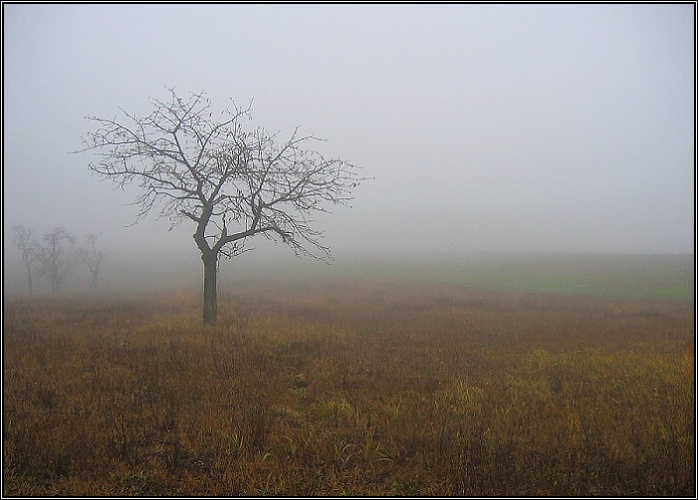 Stál tam stranou...