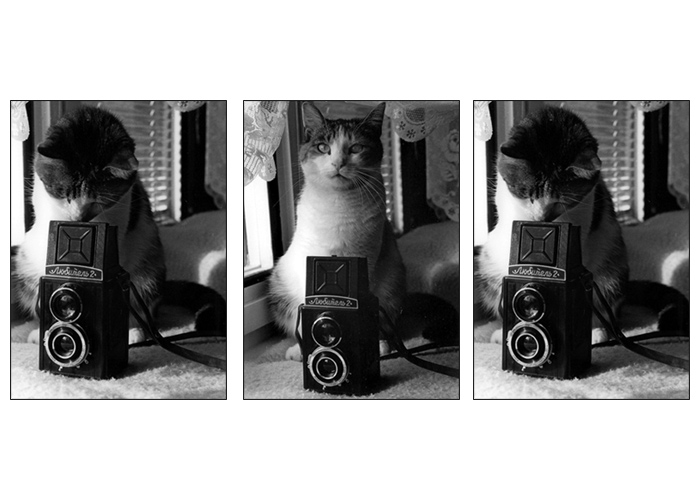 Kam se poděla praktická kočka?!